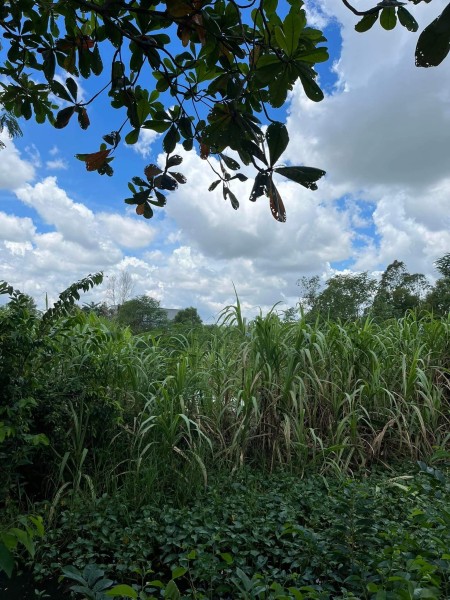 Đi đến slide 13