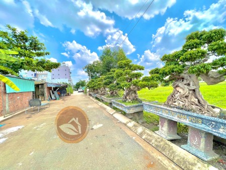 Đi đến slide 7