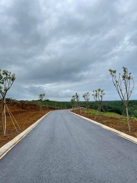 Đất nền sổ trao tay nhận ngay ưu đãi, giá đầu tư sinh lời, có sẵn sổ