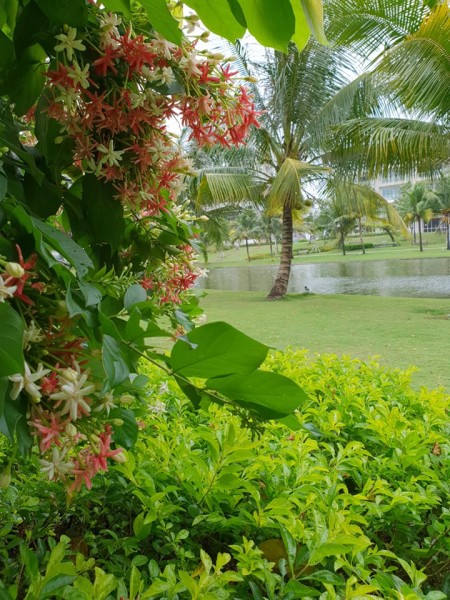 Đi đến slide 3