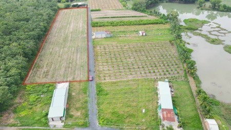 Đất ngộp Tân Châu chủ cần tiền bán gấp đã có sổ đường lớn, giá tốt