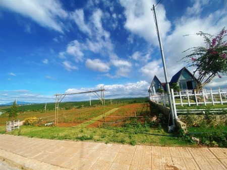 Bán 258m2 đất thổ cư cách trung tâm Bảo Lộc 10p ở QL20 vào 900m 595tr SHR