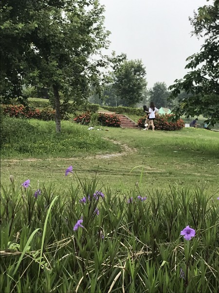 Đi đến slide 2