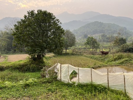 Bán đất xom Cang TP Hoà Bình 2900m view ruộng bậc thang, bám suối mặt tiền 90m