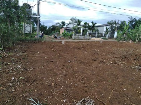 Bán đất vườn ngay cạnh KCN VSIP 4 DT 1000m² (15 x 86m) giá 480 triệu đồng
