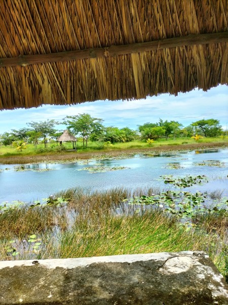 Đi đến slide 4