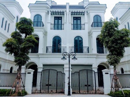 Bán biệt thự song lập 165m2, Ngọc Trai đảo nhỏ phân khu vip nhất dự án Vinhomes Ocean Park, Gia Lâm