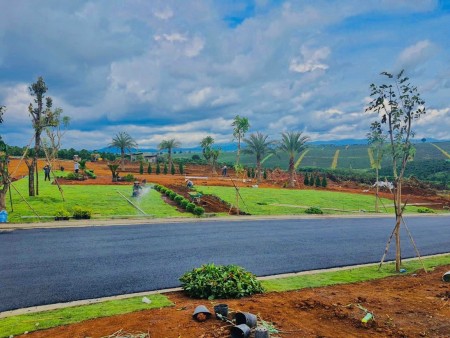 Chỉ từ 300 triệu là sở hữu đất nền view đồi săn mây đẹp nhất Bảo Lộc