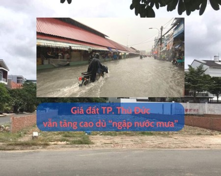 Ảnh bài viết: Giá bán đất TP. Thủ Đức vẫn tăng đều dù “ngập nước mưa”