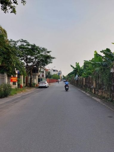 Bán Đất phố Trường Lâm, Ô tô vào tân đất diện tích 53m2 giá 3,3 tỷ