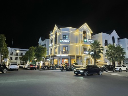 Bán biệt thự song lập Hải Âu 02, mặt tiền 10m dự án Vinhomes Ocean Park - Gia Lâm, giá 29.8 tỷ