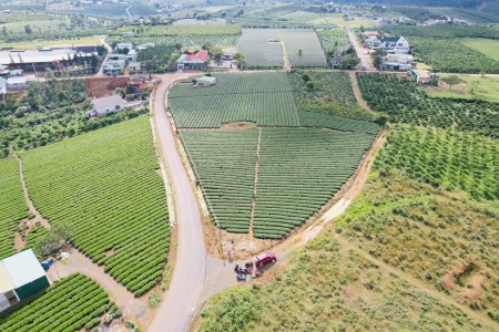 Đi đến slide 13