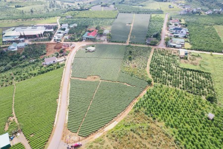 Đi đến slide 10