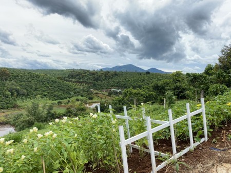 Đi đến slide 8