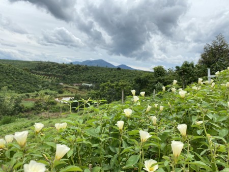 Đi đến slide 7