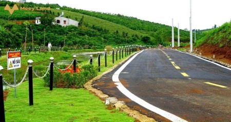 Đi đến slide 7