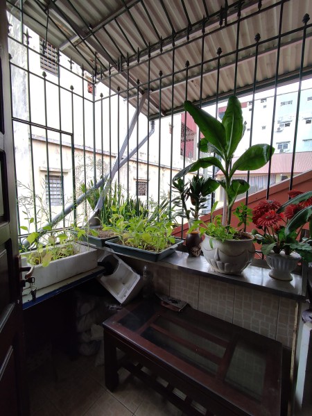 Nhà Đống Đa cạnh trường đh Giao Thông, hàng xóm vườn Bách Thảo, 3 thoáng, ở ngay