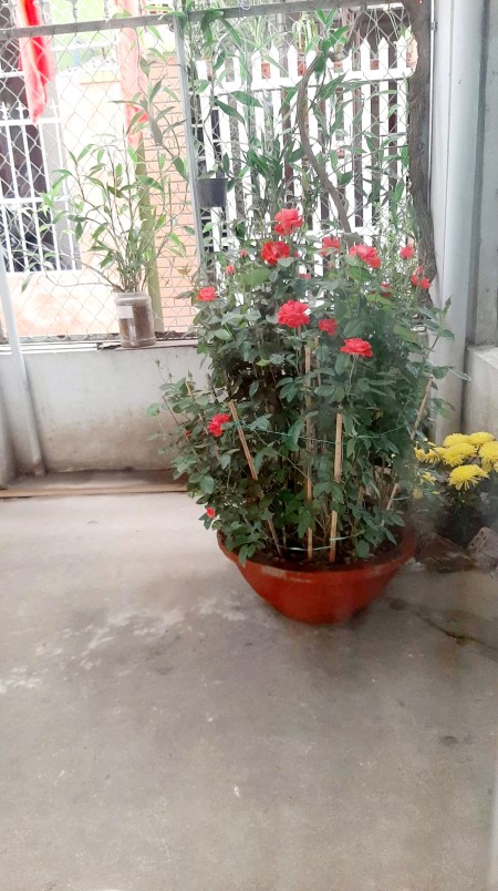 Bán nhà đường Dũng Sĩ Thanh Khê gần Trường ĐH TDTT, CĐ Thương mại