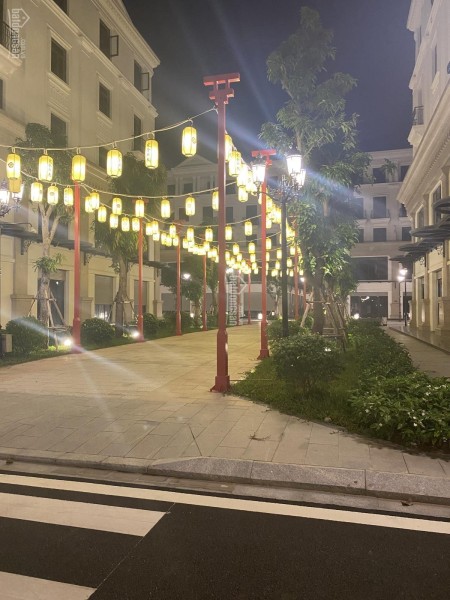 Bán biệt thự song lập dt 150m2, Hải Âu, tuyến phố kinh doanh sầm uất nhất Vinhomes Ocean Park