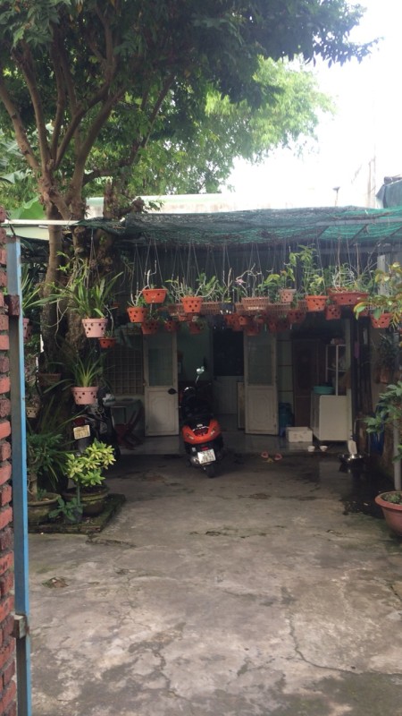 Bán Nhà hiếm Trường Chinh, Cẩm Lệ ĐN, DT 120m² Chỉ 1,85 Tỷ đồng