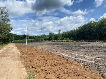 Vỡ nợ cần tiền gấp bán rẻ lại miếng đất Tân Quan Hớn Quản giá đầu tư sinh lời