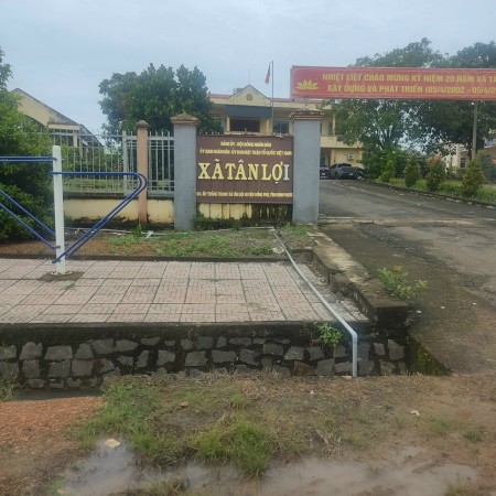 Đất Tân Lợi Đông Phú Bình Phước giá đầu tư sinh lời, sổ sẵn
