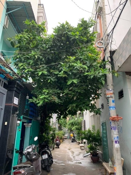 Cho thuê nhà HXH nguyên căn chính chủ số 1041 đường Trần Xuân Soạn, quận 7