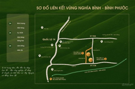 Đi đến slide 10