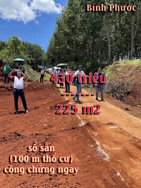 Đi đến slide 8