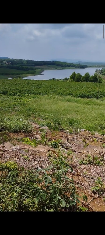 Đi đến slide 6