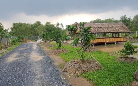Gò Dầu diện tích 1379m2 giá 500 triệu cần ra gấp trong tháng, liên hệ 0379158431