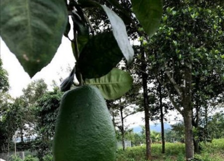 Đi đến slide 8