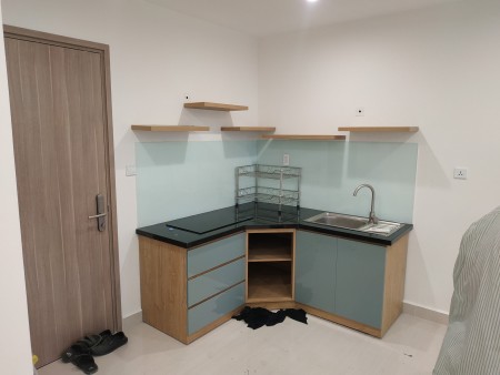 Cho thuê căn hộ chính chủ giá rẻ, diện tích 44m2, phòng ngủ 1 + 1, tầng 34