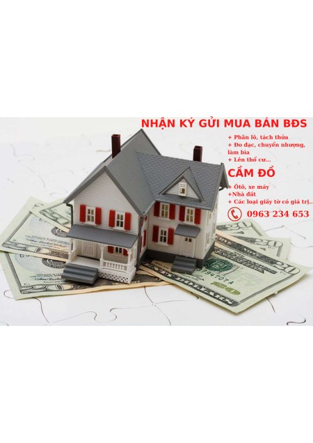 Trần Thị Thùy Trâm