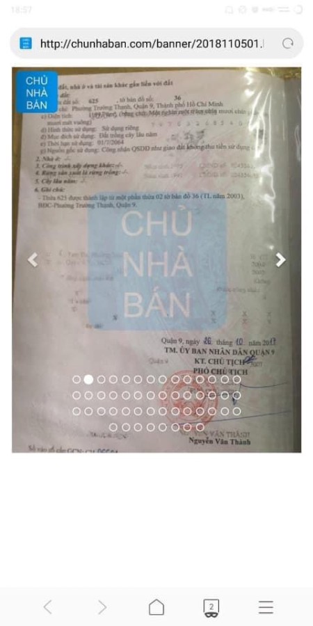 Chính chủ cho thuê đất trồng cây lâu lâu, giá tốt, diện tích lớn