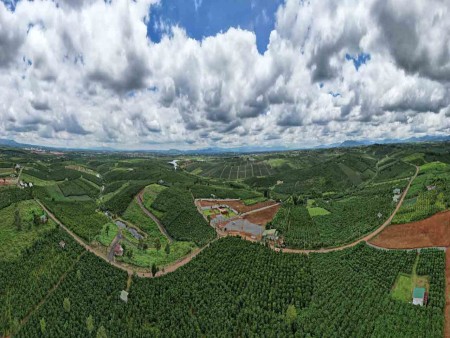 Đất nền Bảo Lộc view đồi chè Ô Long - đã có sổ hồng full thổ cư thổ cư