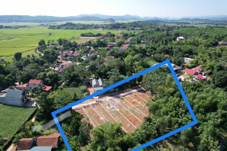 Đi đến slide 6