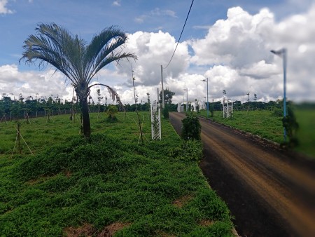 Đi đến slide 8