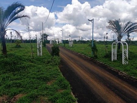 Đi đến slide 4