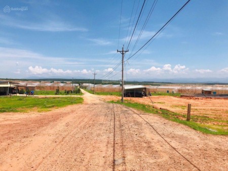 Bán đất sào 1629m2, sổ đỏ, ngay Hồ Rạng Đông, Bình Thuận, 650 triệu