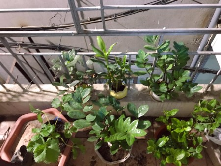 Bán nhà chính chủ số 38/122 ngõ Hoàng An A, Trung Phụng, Đống Đa, Hà Nội