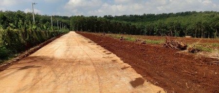 cần bán đất sào chính chủ sỗ sẵn khu vực bình phước