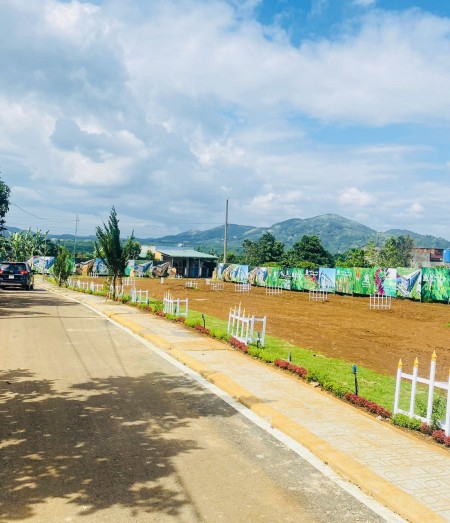 Bán Đất Lộc An, Bảo Lộc Cách Ql20, 500m full thổ sổ hồng riêng