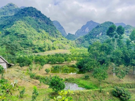 Bán diện tích 9400m2 tại Kim Bôi, Hoà Bình liên hệ 0326370278
