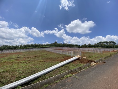 Đi đến slide 8