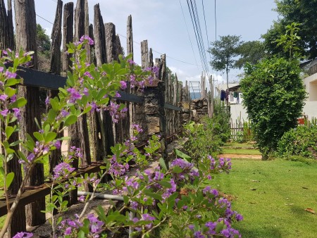 Cần bán gấp căn Biệt Thự mặt biển tại Cây Sao - Hàm Ninh, Phú Quốc giá rẻ đầu tư