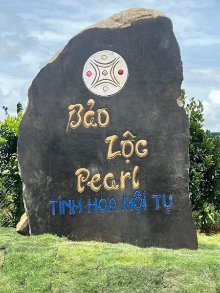 Nguyen Nghi