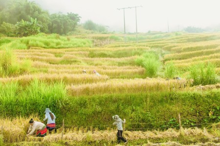 Bán đất nền Sa Pa có sổ, có thổ cư view hồ siêu đẹp liên hệ 0967943899