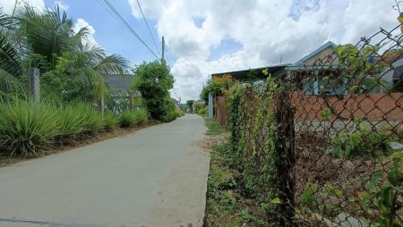 Quang Đông, xã Ninh Đông, TX Ninh Hoà giá đầu tư sinh lời