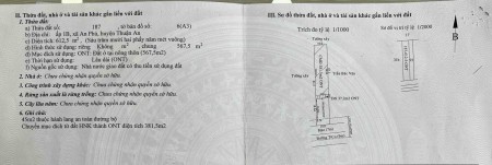 Bán đất đồi chính chủ tại Xã Đại Lào, Bảo Lộc, Lâm Đồng. Sổ hồng sẵn sàng, công chứng sang tên ngay
